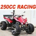 CEE 250CC QUAD ATV (MC-386)